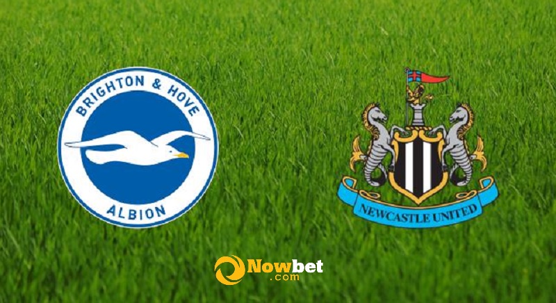 Nhận định trận đấu, tỷ lệ kèo trận đấu giữa Brighton & Hove Albion - Newcastle United, 00h30 ngày 07/11/2021